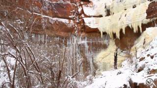 2010 Virgin River Flood News Breaking Footage [upl. by Justin]