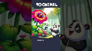 🙆‍♀️ The Panda Video for Toddlers Bamboo Haven 💢 [upl. by Jadda923]