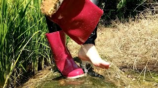 Red wellies35 [upl. by Haleelahk324]