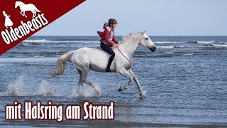 Nur mit Halsring am Strand  Inselsommer 2018 [upl. by Vikky]