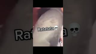 ratatata meme [upl. by Evante]