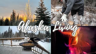 Alaska Living [upl. by Eannej203]