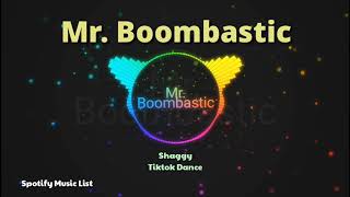 Mr Boombastic  Shaggy Tiktok Dance  Spotify List [upl. by Edmondo]