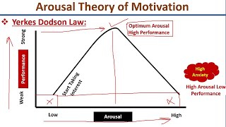 Arousal Theory of MotivationYerkes Dodson LawHebb TheoryUrduHindi [upl. by Isyad148]