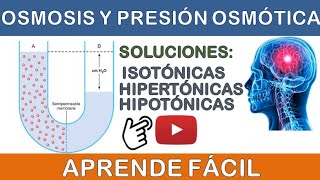 OSMOSIS Y PRESIÓN OSMÓTICA SOLUCIONES ISOTÓNICAS HIPERTÓNICAS HIPOTÓNICAS MEDIO INTERNO 7 [upl. by Lainey]