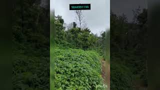 130 acres developed coffee estate for sale in Madikeri Coorg Main road Stunning Views 9844991199 [upl. by Eremahs]