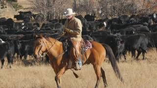 John Moore Horse amp Cattle Course USA [upl. by Bettine]