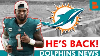 Dolphins FINALLY Receive The News They’ve Been Waiting For… [upl. by Wooldridge]