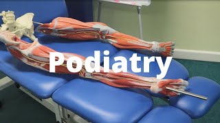 Podiatry Facilities Tour [upl. by Stavros969]