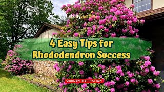 4 Easy Tips for Rhododendron Success 🌺🌿🌸  Gardening Tips [upl. by Elysia]