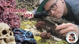 Tödliche Gefahr im Frühjahr Die Giftlorchel in März 2024 [upl. by Anitaf]