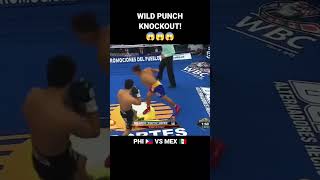 highlights wild punch nockout 🥊🥊🥊🥊🥊🥊🥊🥊🥊🥊🥊🥊 [upl. by Aihsenor]