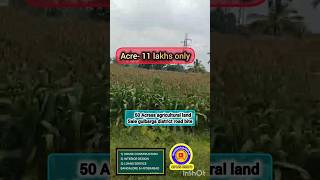 50 Acres Agriculture land sale  tar road 🛣️ bit sale karnataka state  Gulbarga district [upl. by Bruns]