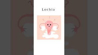 Lochia kattrucate medicalreels shorts pregnancy discharge red pink periods leucocytes [upl. by Kho]