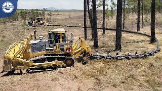 Clearing Wooded Land with Anchor Chain and Bulldozer [upl. by Otnas]