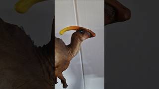 PNSO  Parasaurolophus [upl. by Carma]