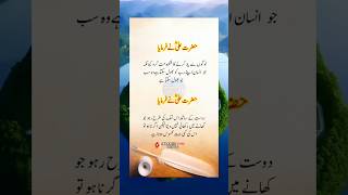 Friendship Quotes In Urdu 💯 shorts quotes islamic status shayari poetry [upl. by Eelyak]