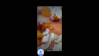 CUTTING JUICY GOLDEN PEAR fruit sweet satisfying [upl. by Lorolla]