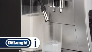 How to clean the milk frother using the clean function on your DeLonghi ECAM 25462 [upl. by Imot908]