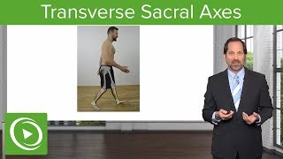 Transverse Sacral Axes – Osteopathic Manipulative Medicine OMM  Lecturio [upl. by Alane753]