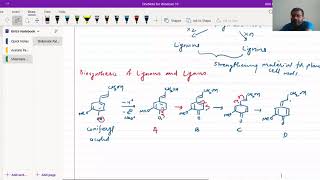 Biosynthesis of Lignins And Lignans [upl. by Ahseyt]