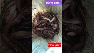 DD vs Baini 🤝 final partfishing videosfishing fish fishing challenges Kamala Chaudhary vlogs [upl. by Ethelind]