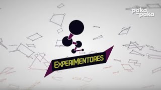 Experimentores Cap 5  Pakapaka [upl. by Akcirehs]