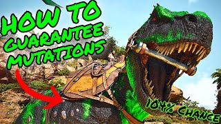 How To GUARANTEE Getting MUTATIONS in Ark Survival Ascended ASA MUTATIONBREEDING GUIDE [upl. by Primrosa434]