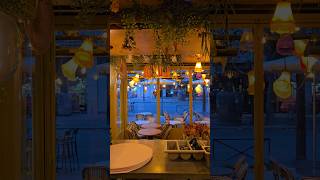 RestaurantBarParisFranceEurope [upl. by Banerjee]