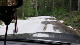 North Fork Wolf Creek and Salmonberry Rd  April 1st 2019  Road Conditons [upl. by Dnomso]