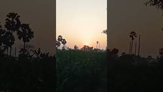 subah ki Suraj ugte wali shorts video [upl. by Nylsirhc]