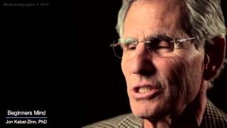 Jon KabatZinn Mindfulness 9 attitudes  beginners mind [upl. by Tiana]