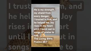 Finding Strength and Joy in Faith  Psalms 287 Explored HappyBibleSharers [upl. by Annig]