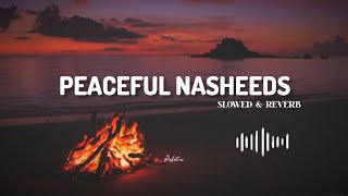 quot4 soul healing Nasheedsquot By Muhammad Al Muqit  Spedup Slowed amp reverb  Arabic Nasheeds no music [upl. by Pironi911]