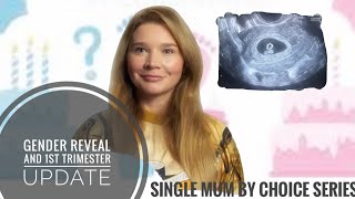 SMBC series Gender reveal and mid 1st trimester update [upl. by Anneirda]