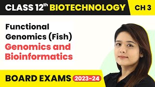 Functional Genomics Fish  Genomics and Bioinformatics  Class 12 Biotechnology Chapter 3 [upl. by Antonie]