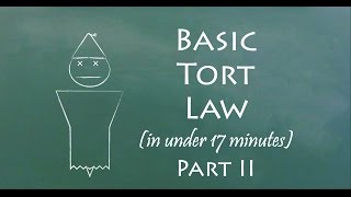 Understand Tort Law in 17 Minutes Part II [upl. by Ladiv]