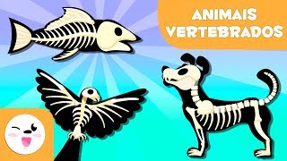 ANIMAIS VERTEBRADOS para crianças  Mamíferos aves répteis peixes e anfíbios [upl. by Aihtyc]