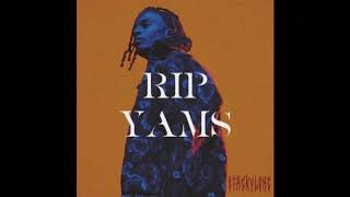 Playboi Carti  RIP YAMS INSTRUMENTAL ProdPierreBourne [upl. by Chamkis]