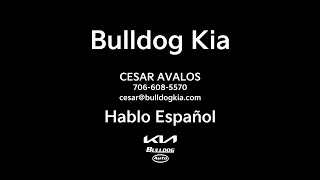 Bulldog Kia Cesar Hablo Español [upl. by Aibos]