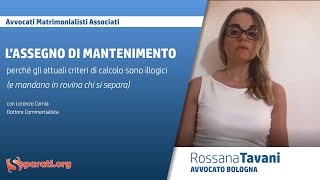 Assegno di mantenimento  perché gli attuali criteri di calcolo mandano in rovina chi si separa [upl. by Meghann424]