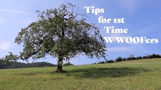 WWOOF  10 Tips for 1st Time WWOOFers [upl. by Nwahsit]