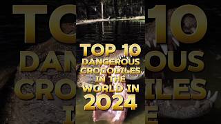 Top 10 Dangerous Crocodiles in the World in 2024 youtubeshorts trending shorts top10 [upl. by Patrich432]