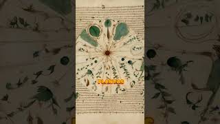 🔍📚 El Manuscrito Voynich El Libro Más Misterioso de la Historia 🤯 misterio voynichmanuscript [upl. by Sumaes]