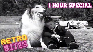 Lassie  1 Hour Special  Lassie English Full Episodes 🐕 [upl. by Bozuwa]