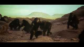 2001 A Space Odyssey 1968  Apes fight  full [upl. by Nahsaj]