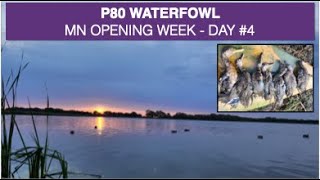 Semaine dOuverture au Gibier dEau Jour 4  MN USA Sept 2024  MN Waterfowl Opening Week Day4 [upl. by Hoshi]