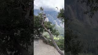 Vista point on the way to Yosemite fall 半山腰的观景休息台，离优胜美地瀑布不远了 [upl. by Emoryt226]