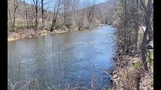 The News Project  Fish Trees And Riparian Buffers [upl. by Batish]