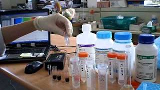 IB Chemistry Iodine clock reaction kinetics using visible spectrophotometer [upl. by Nugent452]